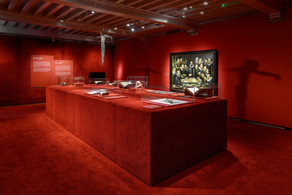 Tentoonstellingsontwerp voor de tentoonstelling De schepping van de wetenschap voor het museum Catharijneconvent