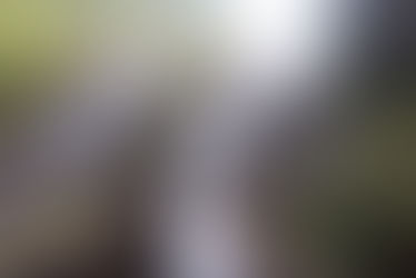 Mulher morre ao tentar tirar selfie e cair em cachoeira no RJ