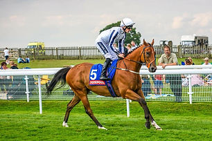DESSIE.jpg