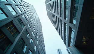 Understanding PaidOnExchange's Role in Sydney's Financial Solutions