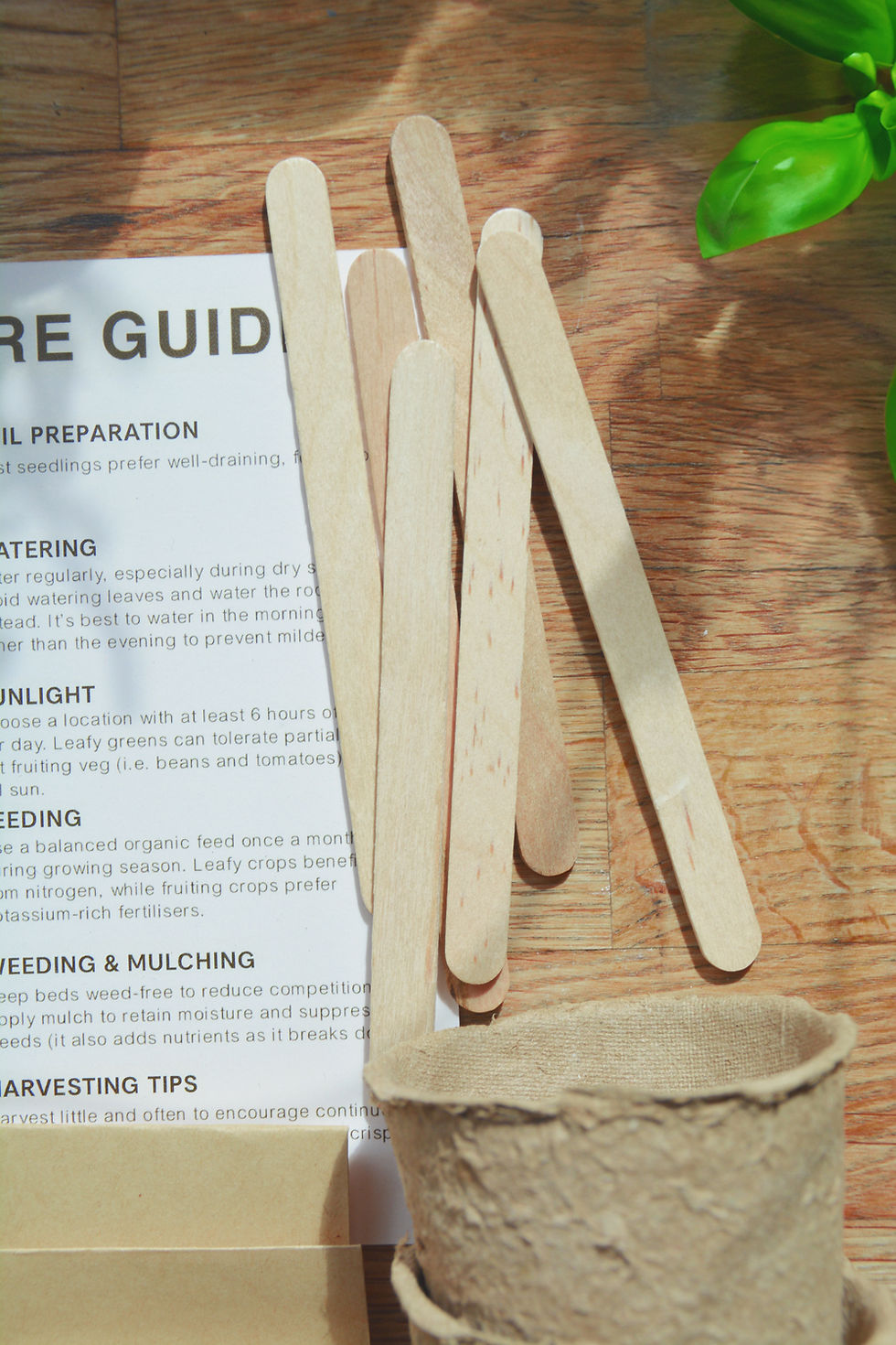 Thumbnail: Home Gardening Starter Box – Grow Your Own Veg the Simple Way