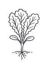 SS-LOGO-ICON_BLACK.png