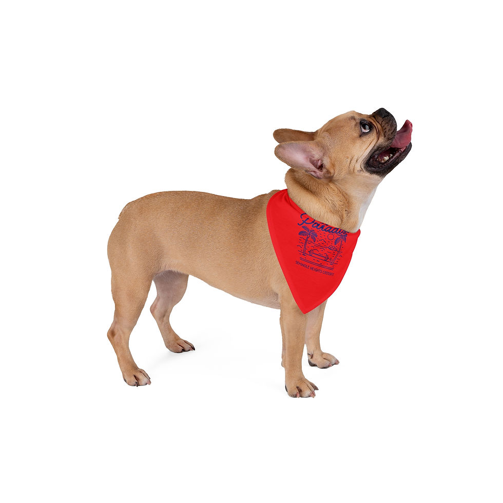 Thumbnail: Lift in Paradise SHCF Pet Bandana