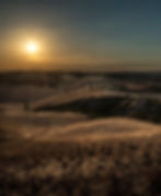 _DSC4373