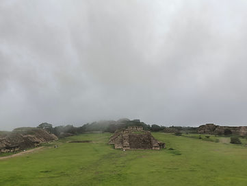 18_IMG20250619100357.jpg