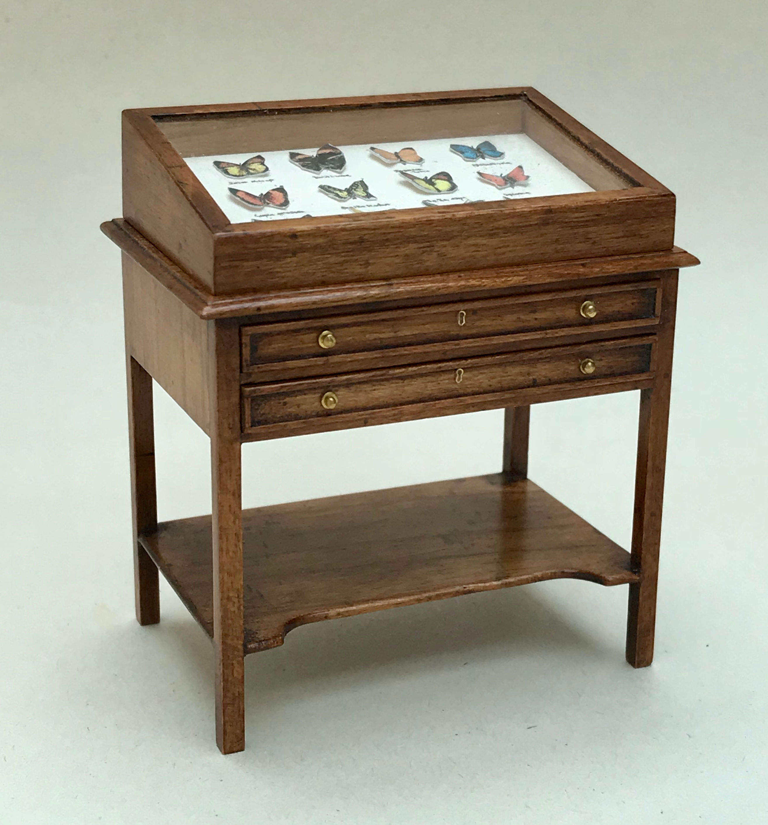 Display Cabinet with Butterflies