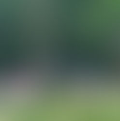 Why You Need a Day-of-Coordinator