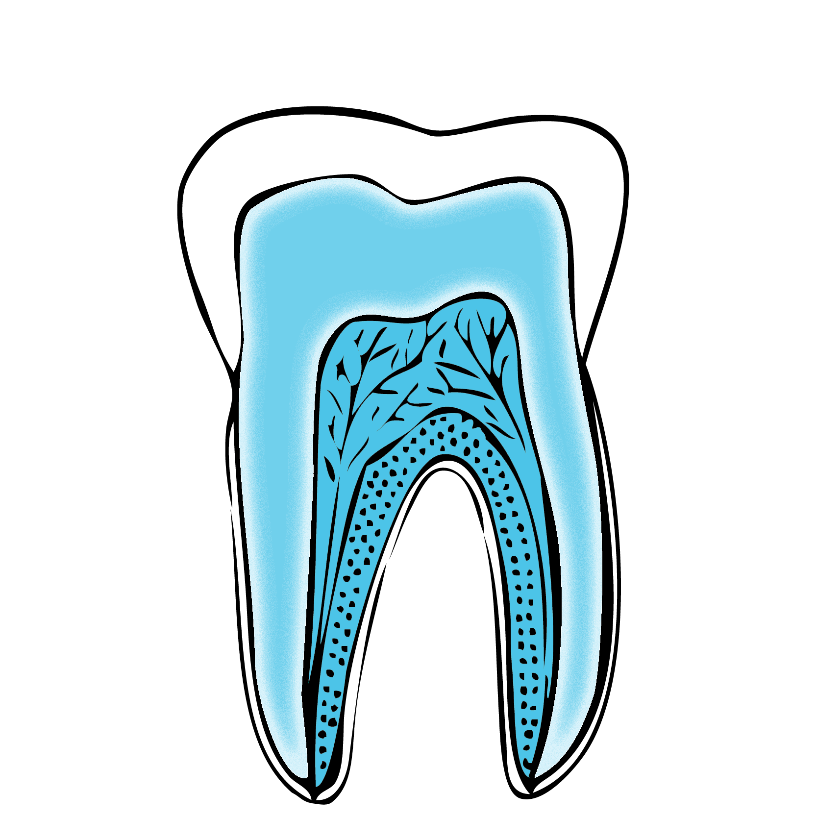 ENDODONZIA