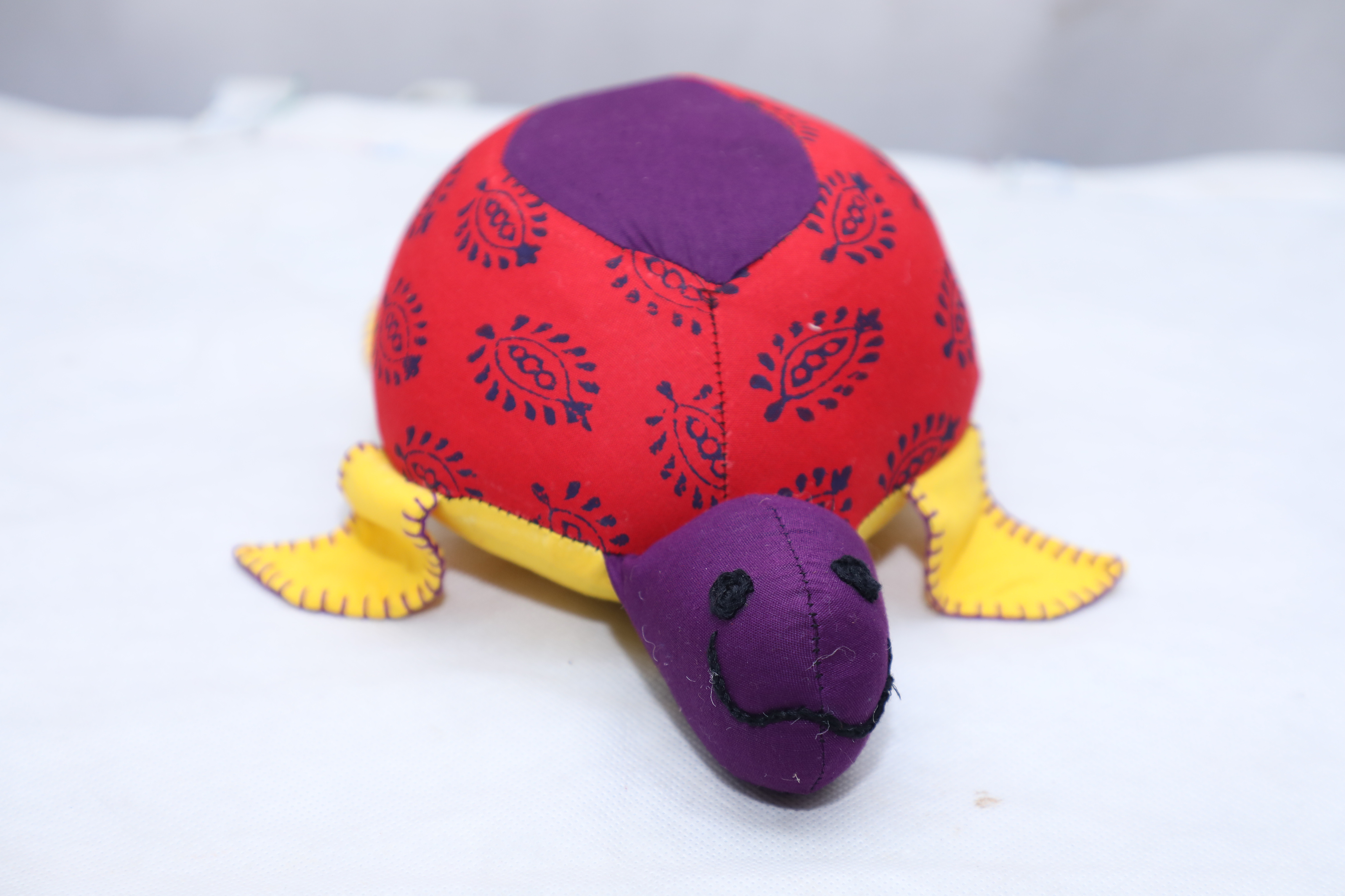 Daadu the Big Turtle