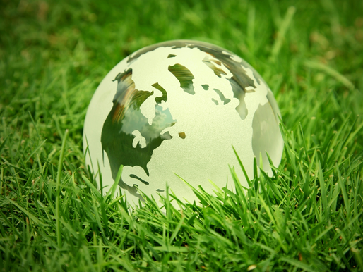 Green Building Trends: Sustainable Construction for a Better Future