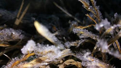 FB_IMG_1492128670296