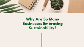 Why Are So Many Businesses Embracing Sustainability?