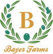 logo.png