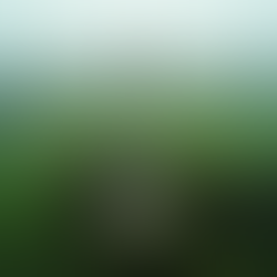 Reduce Diesel Consumption in Telecom Infrastructure