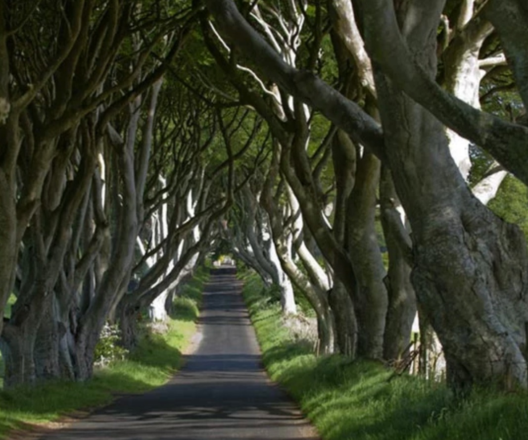 TV & MOVIE TOURS GAME OF THRONES TO DOWNTON ABBEY