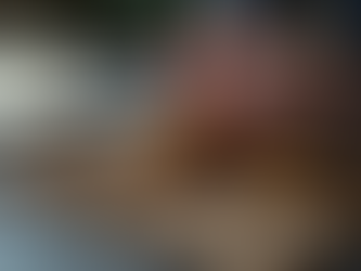 Problem-Solving Expertise for International Mining Projects