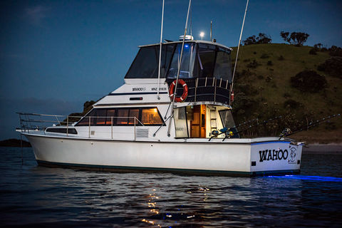 Book a fishing trip in Bay of Islands