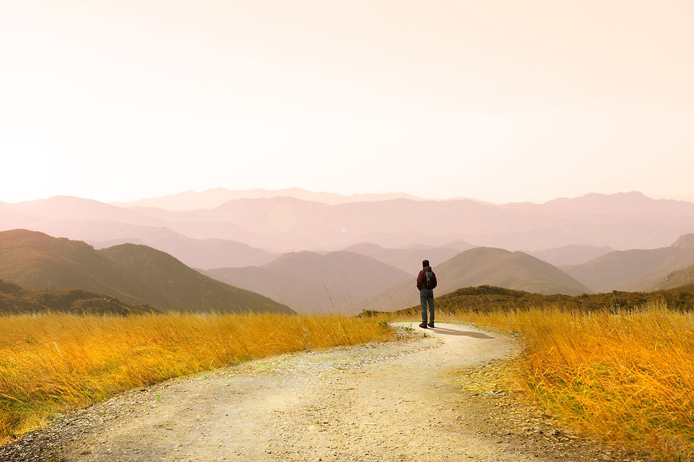 iStock-1138685150.jpg