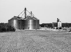DSC_7098 black and white.jpg