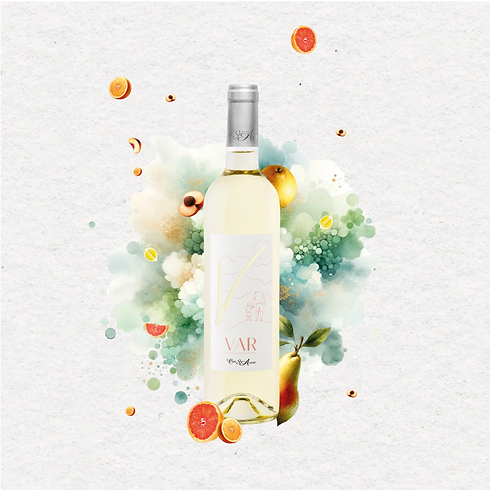 Cuvee site 2026-07.png