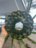 Lau Niu or coconut leaves woven into a circle, pattern resembles a camera's aperture