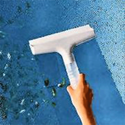 Scoopy Window Condensation Squeegee