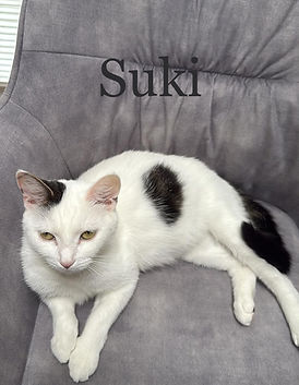 Suki_edited.jpg