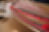wing-geb721a178_1920.jpg