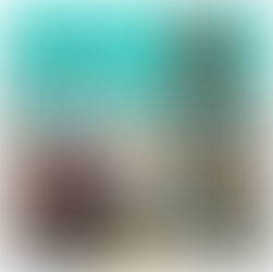 Week #23/2024 - Click Here