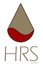 HRS Logo Letters ok - Copia.jpg