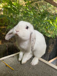 IMG_7766.JPEG