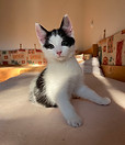 IMG_5492.JPEG