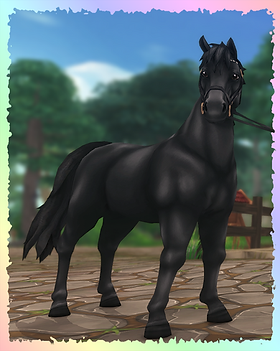 Icelandic Horse, Crazyboy (Nixie, Mikey).png