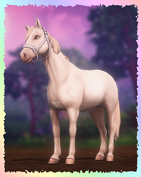 Chincoteague Pony, Twinklestar (Lullaby).png