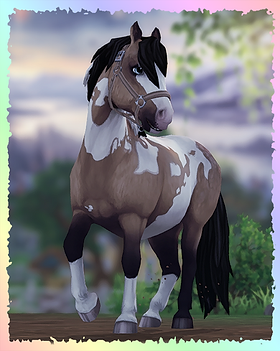 Jorvik Pony, Summerhunter.png