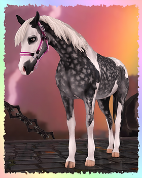 American Paint Horse, Silverwing.png