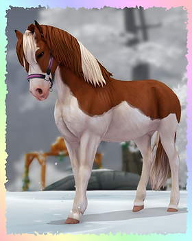 Gotland Pony, Foxy.png