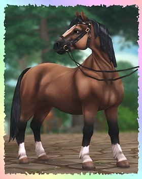 Welsh Pony, Crownprince (Ben).png