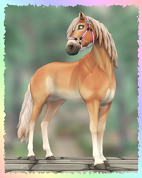 Jorvik Andalusian, Wintermelody (Bambi, Fawncy).png