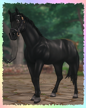 English Thoroughbred, GuardianAngel (Calum).png