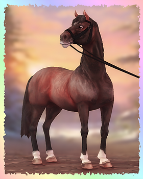 Danish Warmblood, Icewhisper.png