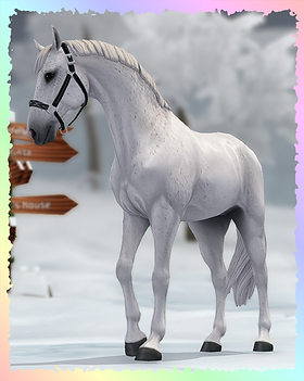 Selle Francais, Fairytale.png