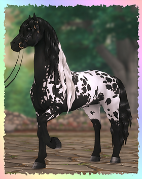Friesian Sport Horse. Granddancer (Maxxie).png