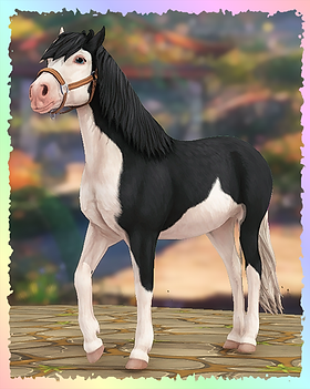 Gotland Pony, Sienna.png