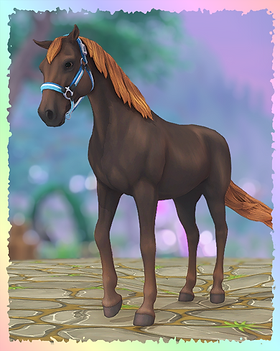 Morgan, Chocolate.png