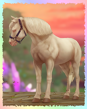 Welsh Pony, Cupcake.png