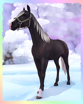 Tennessee Walker, Knightprincess.png