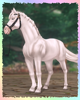 English Thoroughbred, Rockstar (Penguin).png