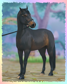 Dutch Warmblood, Darkheart (Jeremy).png