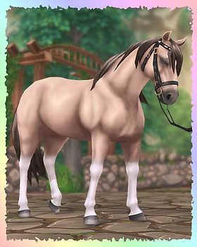 Mustang, Morningdew.png